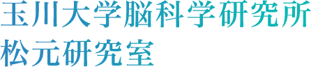 玉川大学脳科学研究所松元研究室