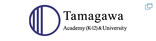 Tamagawa K-12, University